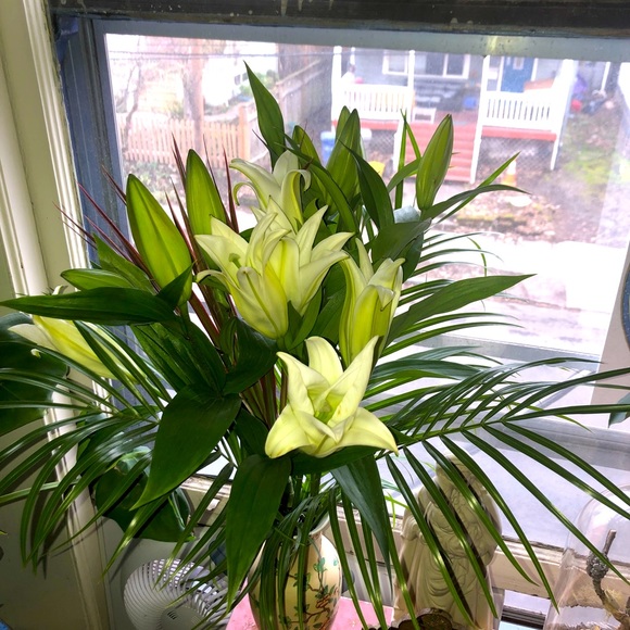 Meet your Posher, Jennifer - Picture 11 of 14